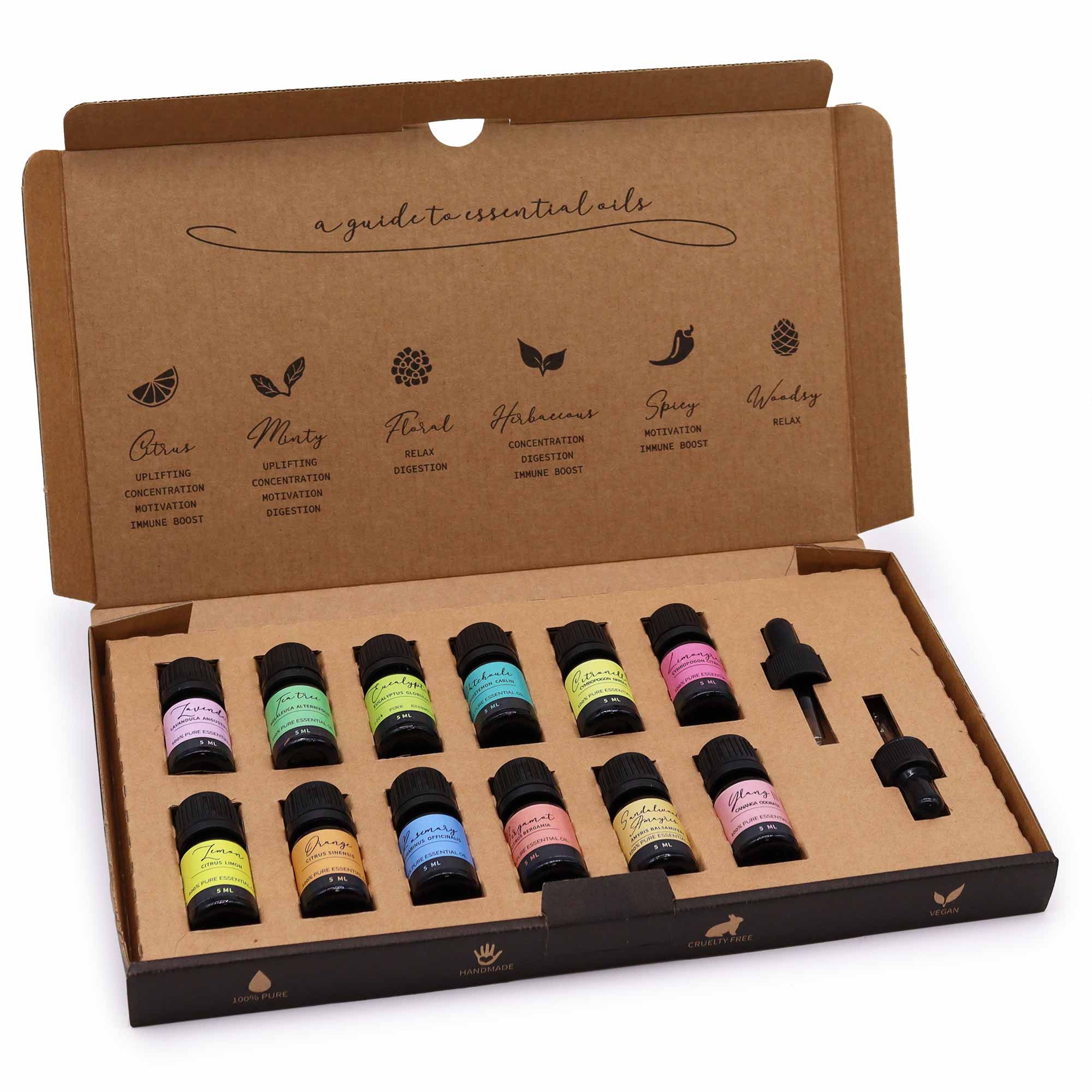 Aromatherapy Essential Oil Set – Top 12